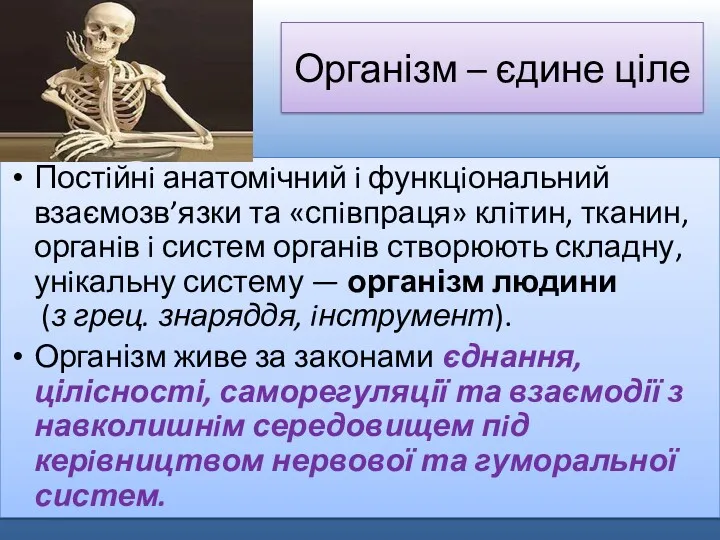 Організм – єдине ціле Постiйнi анатомiчний i функцiональний взаємозв’язки та