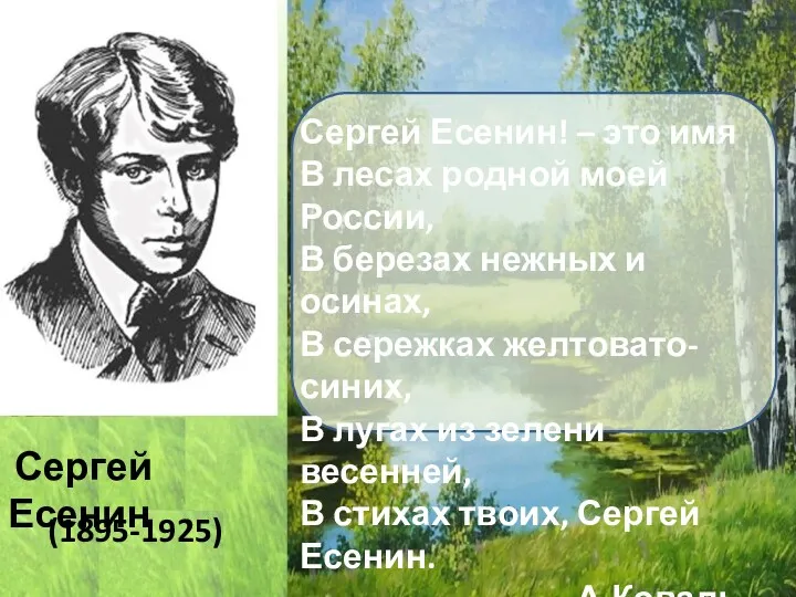 (1895-1925) Сергей Есенин Сергей Есенин! – это имя В лесах