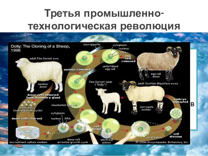 Биотехнология – продовольствие, которое не подвержено воздействию вредных насекомых и