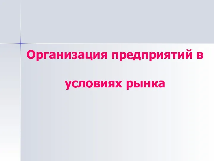 Организация предприятий в условиях рынка