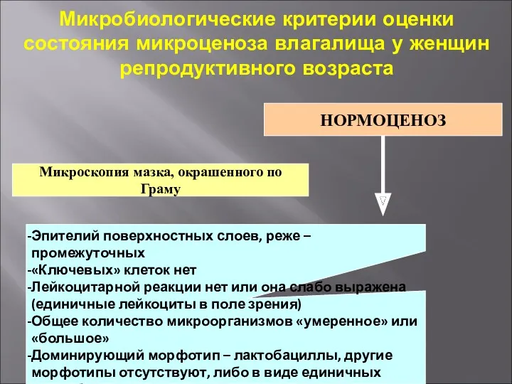 Микробиологические критерии оценки состояния микроценоза влагалища у женщин репродуктивного возраста