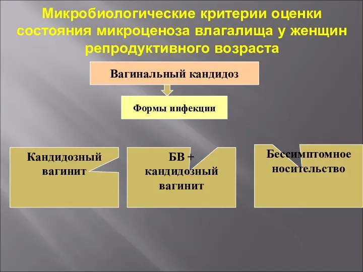 Микробиологические критерии оценки состояния микроценоза влагалища у женщин репродуктивного возраста