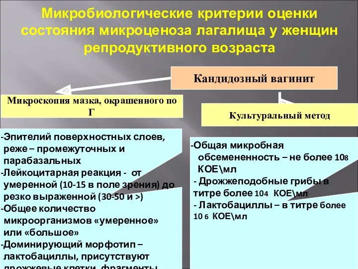 Микробиологические критерии оценки состояния микроценоза лагалища у женщин репродуктивного возраста