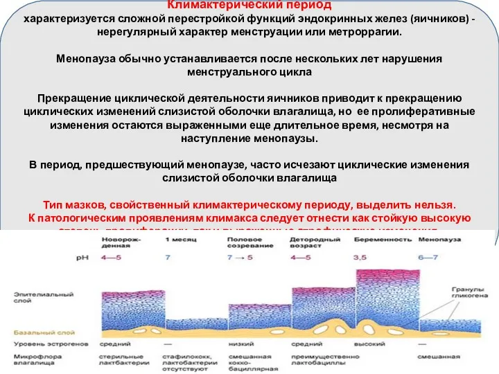 Климактерический период характеризуется сложной перестройкой функций эндокринных желез (яичников) -