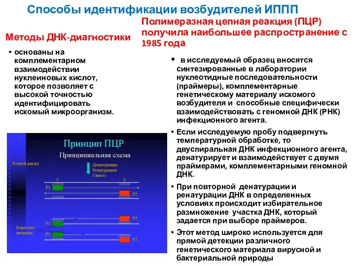 Способы идентификации возбудителей ИППП Методы ДНК-диагностики основаны на комплементарном взаимодействии