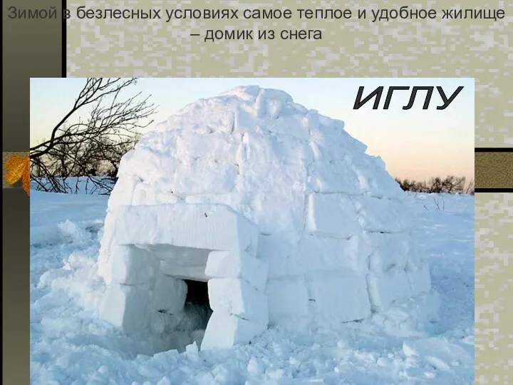 Зимой в безлесных условиях самое теплое и удобное жилище – домик из снега ИГЛУ