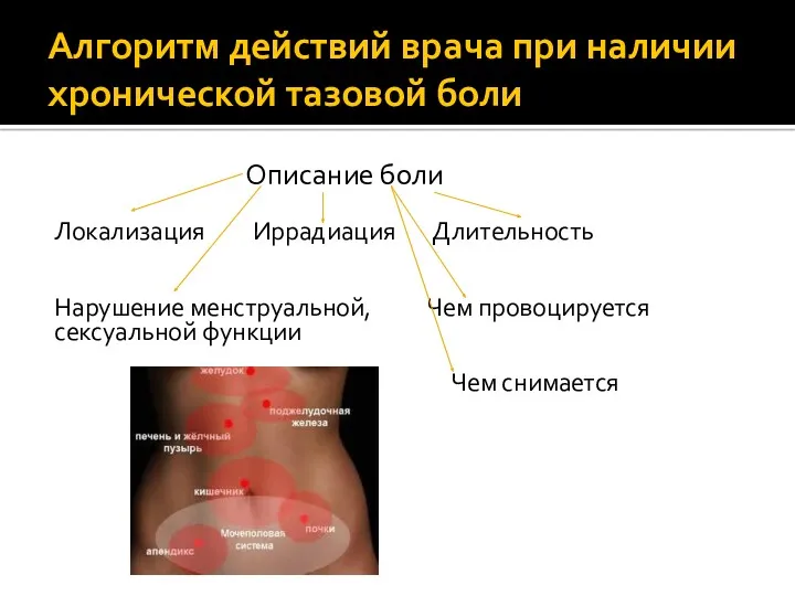 Алгоритм действий врача при наличии хронической тазовой боли Описание боли