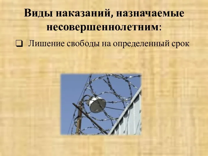 Виды наказаний, назначаемые несовершеннолетним: Лишение свободы на определенный срок