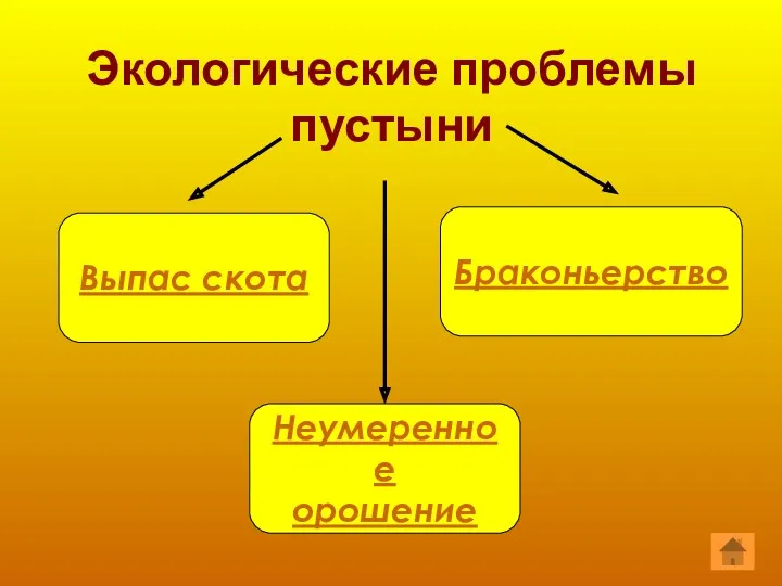 Экологические проблемы пустыни Выпас скота Браконьерство Неумеренное орошение