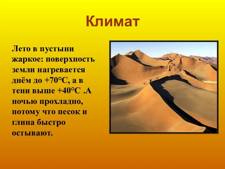 Климат Лето в пустыни жаркое: поверхность земли нагревается днём до