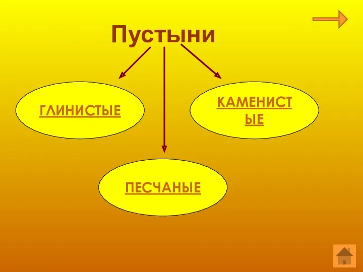 Пустыни ГЛИНИСТЫЕ КАМЕНИСТЫЕ ПЕСЧАНЫЕ