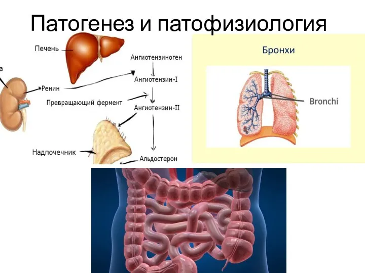 Патогенез и патофизиология