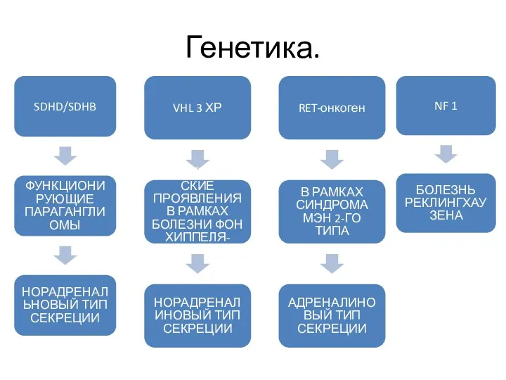 Генетика. SDHD/SDHB ФУНКЦИОНИРУЮЩИЕ ПАРАГАНГЛИОМЫ НОРАДРЕНАЛЬНОВЫЙ ТИП СЕКРЕЦИИ VHL 3 ХР