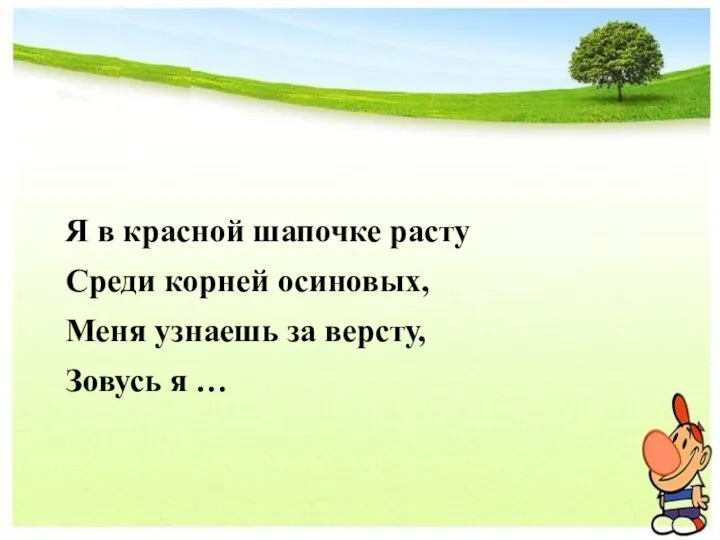 Я в красной шапочке расту Среди корней осиновых, Меня узнаешь за версту, Зовусь я …