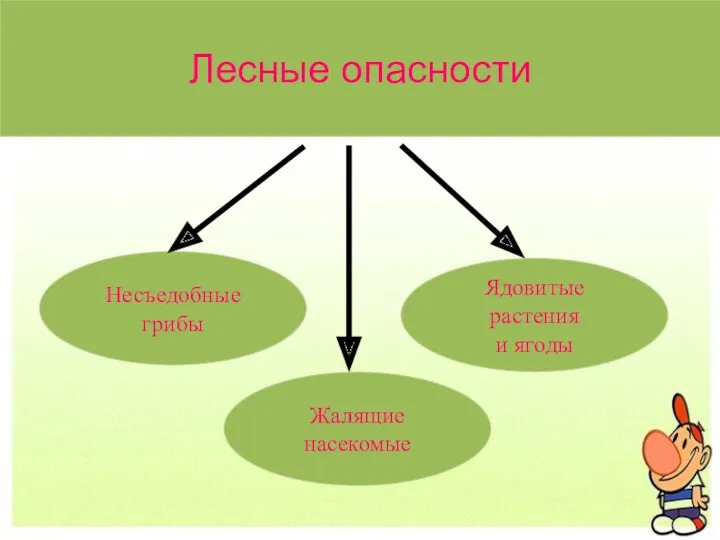 Лесные опасности Ядовитые растения и ягоды Жалящие насекомые Несъедобные грибы