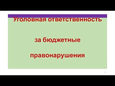 Уголовная ответственность за бюджетные правонарушения