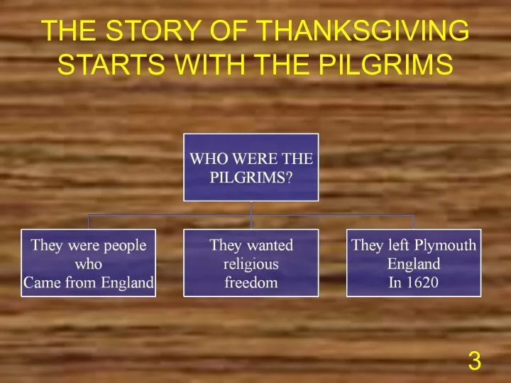 THE STORY OF THANKSGIVING STARTS WITH THE PILGRIMS