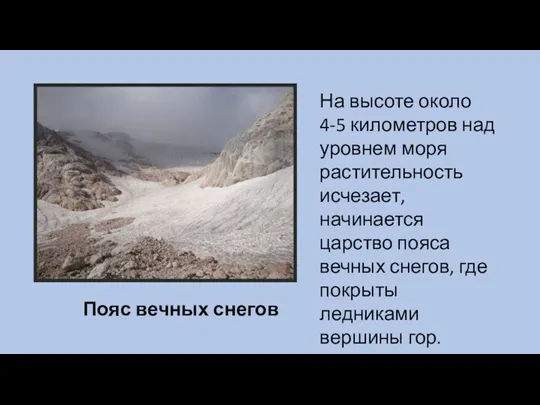 Пояс вечных снегов На высоте около 4-5 километров над уровнем моря растительность исчезает,