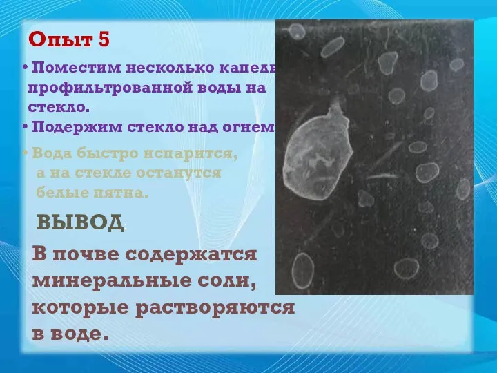 Опыт 5 Поместим несколько капель профильтрованной воды на стекло. Подержим