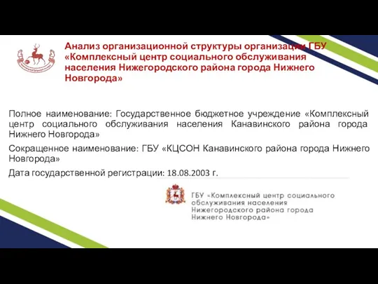 Анализ организационной структуры организации ГБУ «Комплексный центр социального обслуживания населения