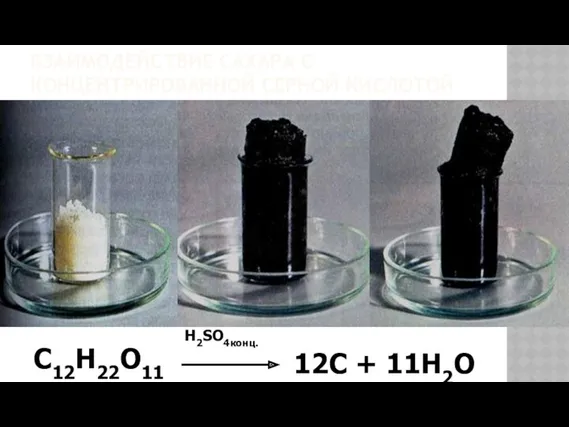 ВЗАИМОДЕЙСТВИЕ САХАРА С КОНЦЕНТРИРОВАННОЙ СЕРНОЙ КИСЛОТОЙ