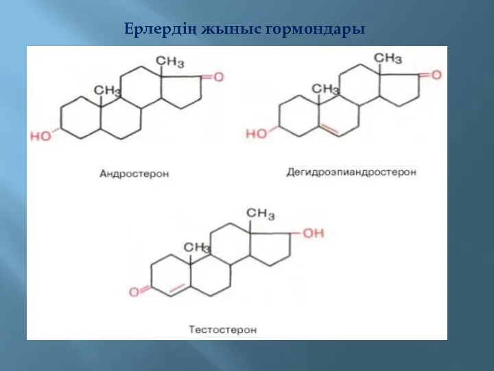 Ерлердің жыныс гормондары