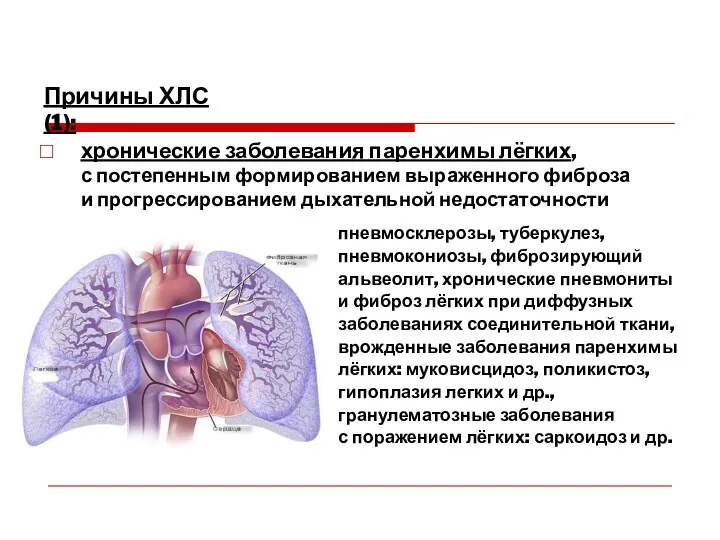 Причины ХЛС (1): хронические заболевания паренхимы лёгких, с постепенным формированием