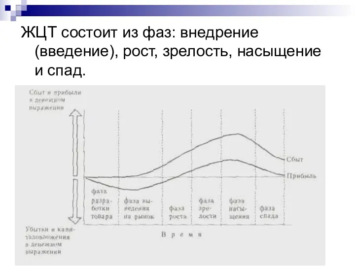 ЖЦТ состоит из фаз: внедрение (введение), рост, зрелость, насыщение и спад.