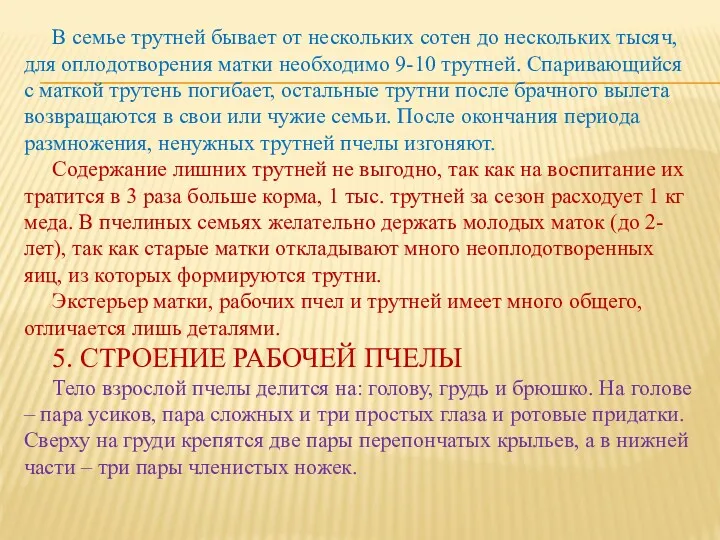 В семье трутней бывает от нескольких сотен до нескольких тысяч, для оплодотворения матки