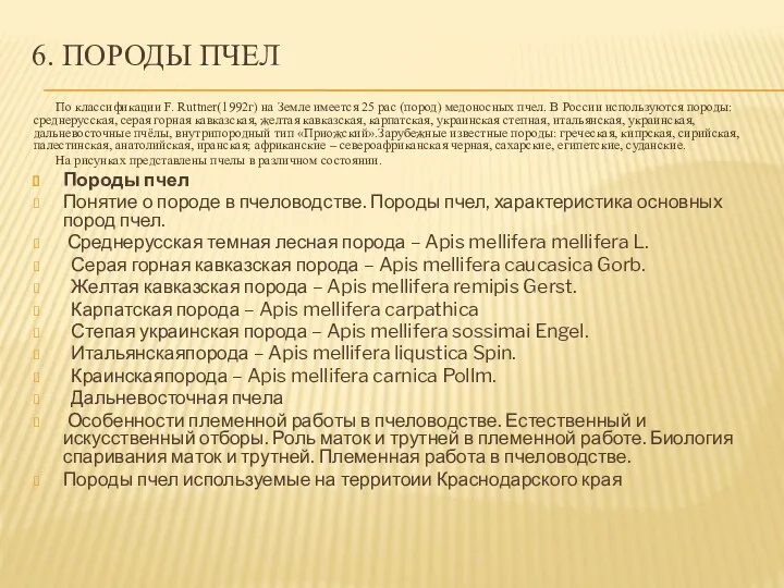 6. ПОРОДЫ ПЧЕЛ По классификации F. Ruttner(1992г) на Земле имеется 25 рас (пород)