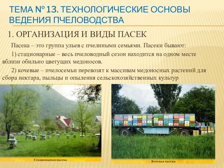 1. ОРГАНИЗАЦИЯ И ВИДЫ ПАСЕК Пасека – это группа ульев с пчелиными семьями.