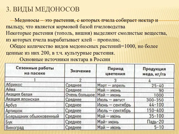 Медоносы – это растения, с которых пчела собирает нектар и пыльцу, что является