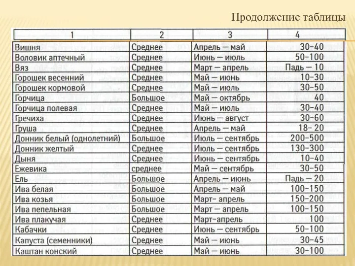 Продолжение таблицы