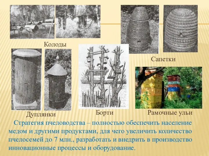 Колоды Дуплянки Борти Сапетки Рамочные ульи Стратегия пчеловодства – полностью