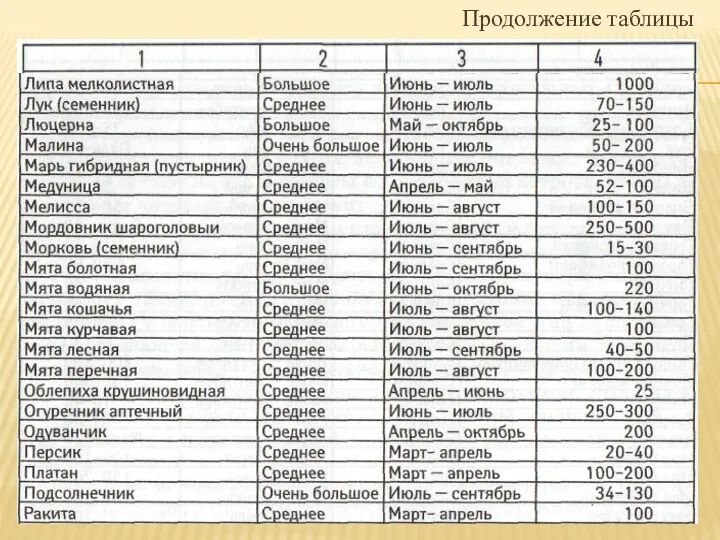 Продолжение таблицы