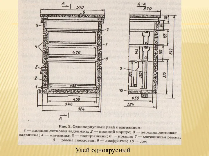 Улей одноярусный