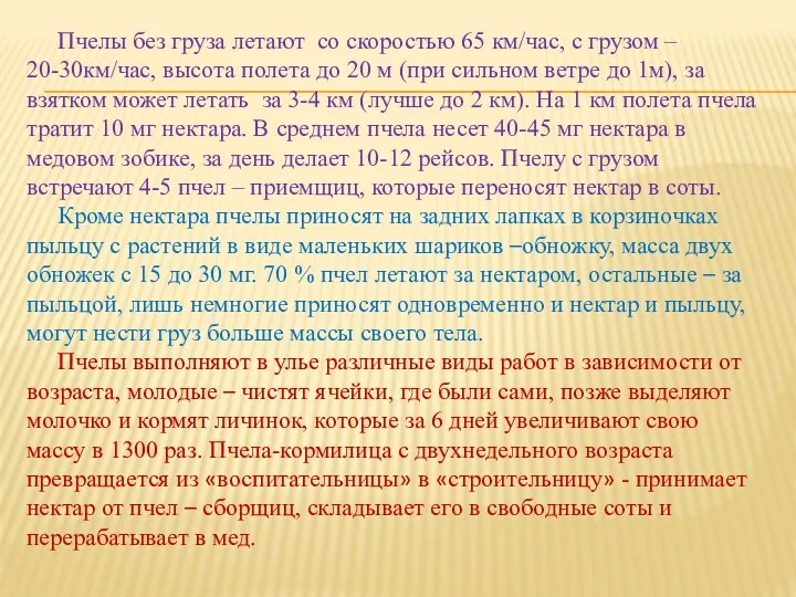 Пчелы без груза летают со скоростью 65 км/час, с грузом