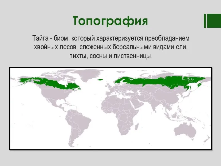 Топография Тайга - биом, который характеризуется преобладанием хвойных лесов, сложенных