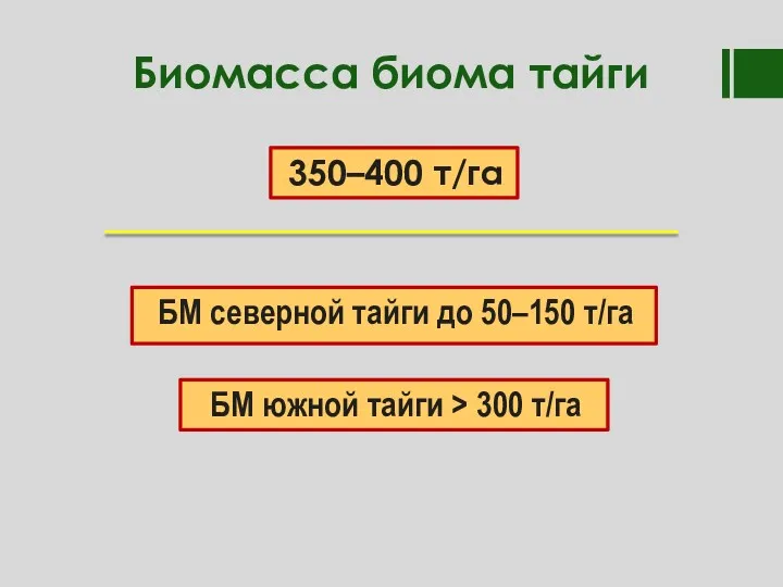 Биомасса биома тайги БМ северной тайги до 50–150 т/га 350–400