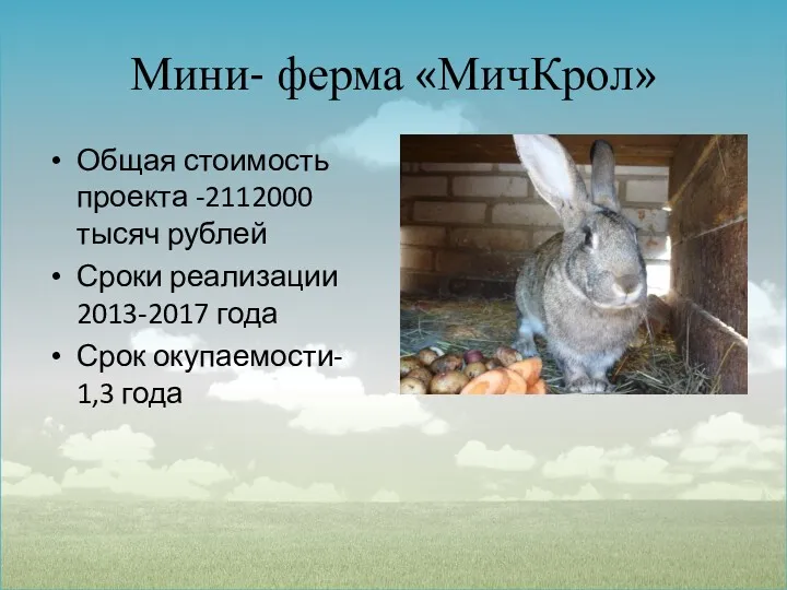 Мини- ферма «МичКрол» Общая стоимость проекта -2112000 тысяч рублей Сроки