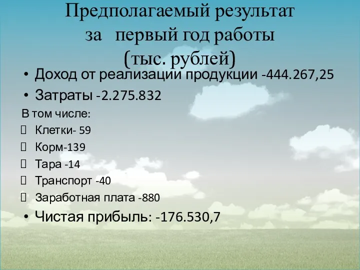 Предполагаемый результат за первый год работы (тыс. рублей) Доход от