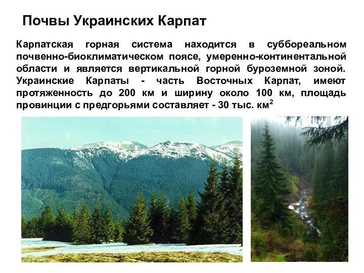 Почвы Украинских Карпат Карпатская горная система находится в суббореальном почвенно-биоклиматическом