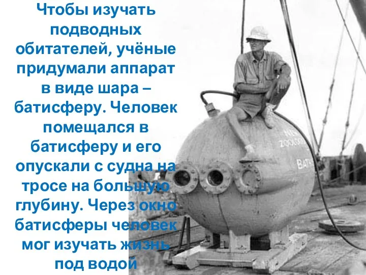 Чтобы изучать подводных обитателей, учёные придумали аппарат в виде шара – батисферу. Человек