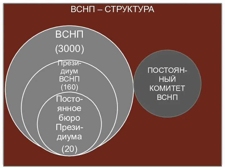 ВСНП – СТРУКТУРА ПОСТОЯН-НЫЙ КОМИТЕТ ВСНП