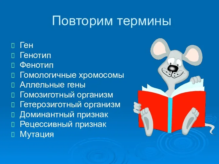 Повторим термины Ген Генотип Фенотип Гомологичные хромосомы Аллельные гены Гомозиготный