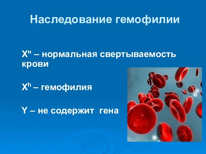 Наследование гемофилии Хн – нормальная свертываемость крови Хh – гемофилия Y – не содержит гена