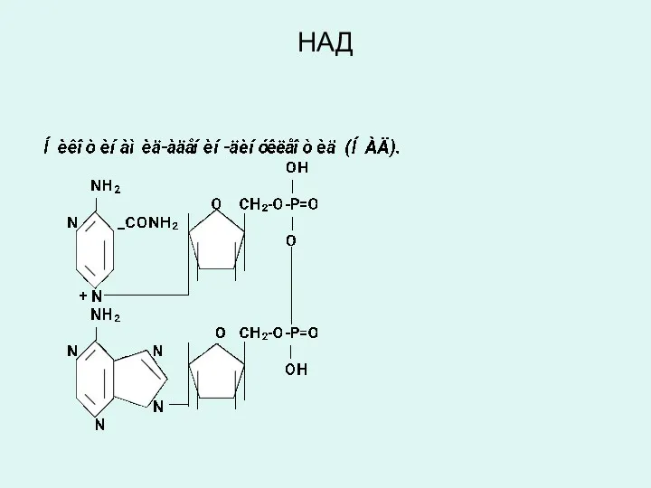 НАД