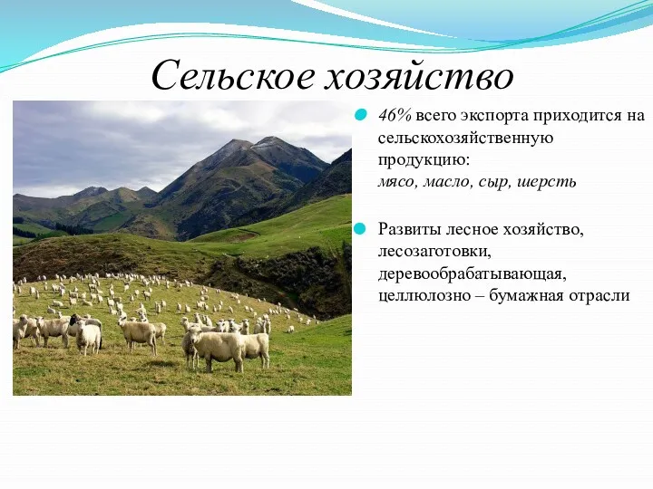 Сельское хозяйство 46% всего экспорта приходится на сельскохозяйственную продукцию: мясо,