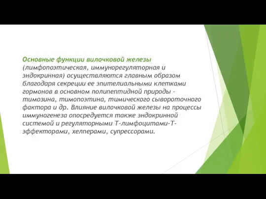 Основные функции вилочковой железы (лимфопоэтическая, иммунорегуляторная и эндокринная) осуществляются главным