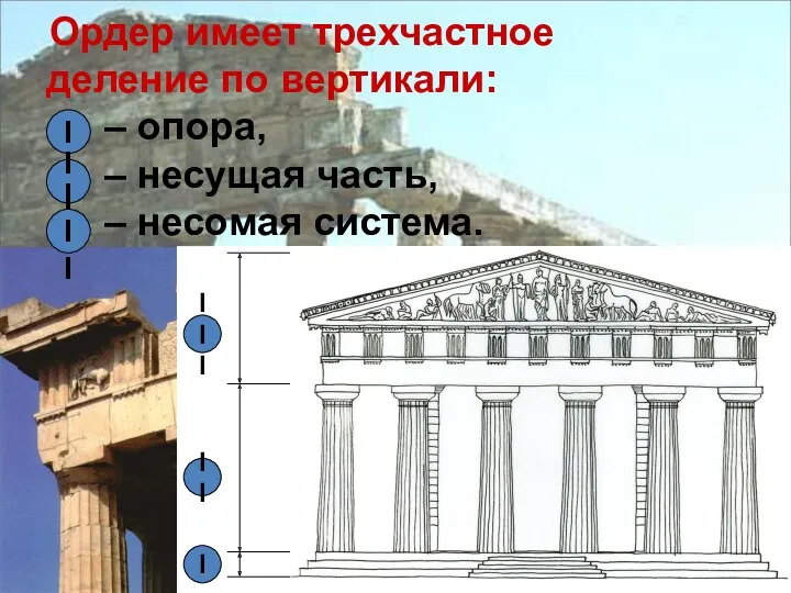 Ордер имеет трехчастное деление по вертикали: – опора, – несущая